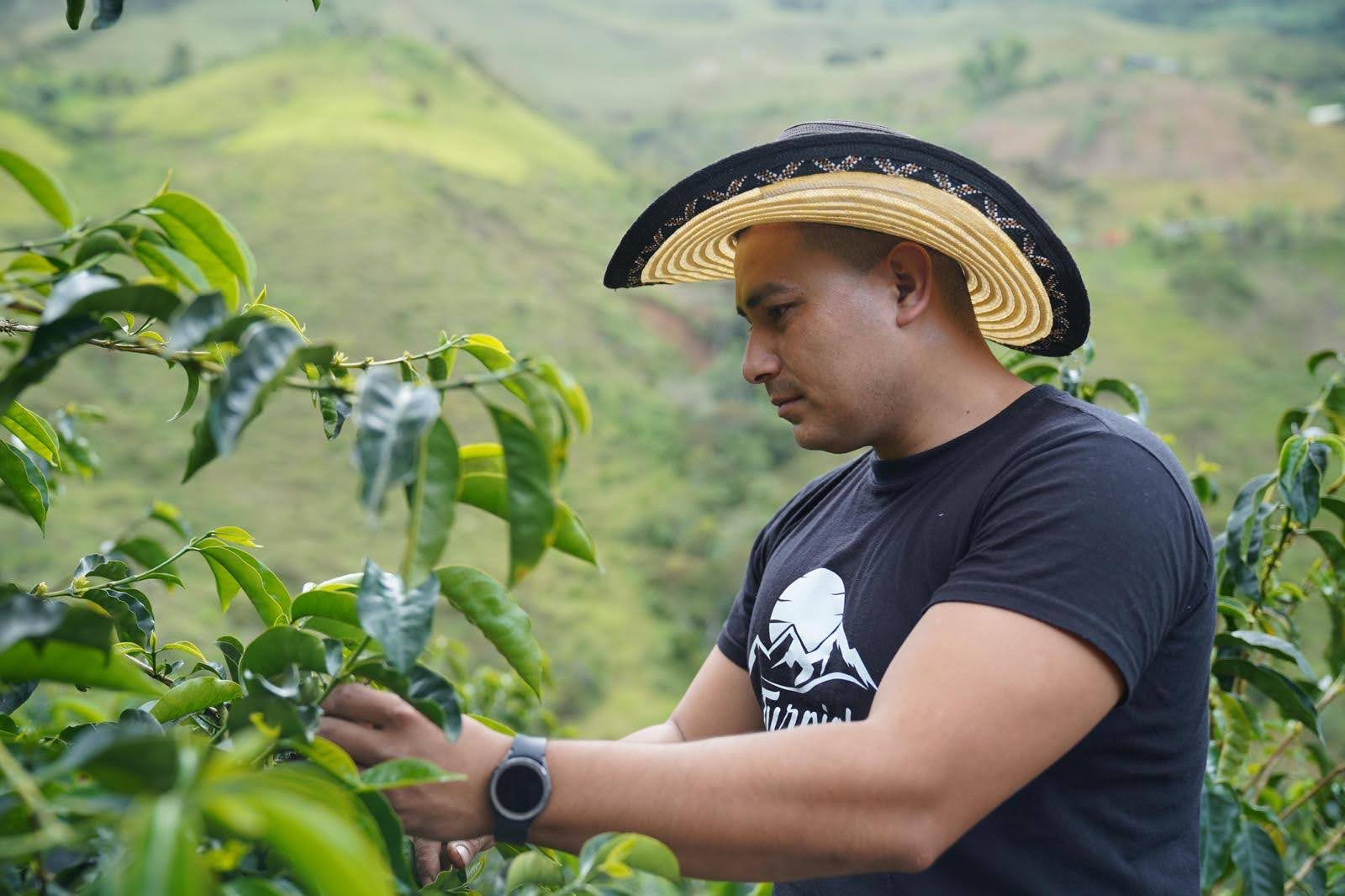 COL002 — Finca El Turpial; SL-28 Lavé