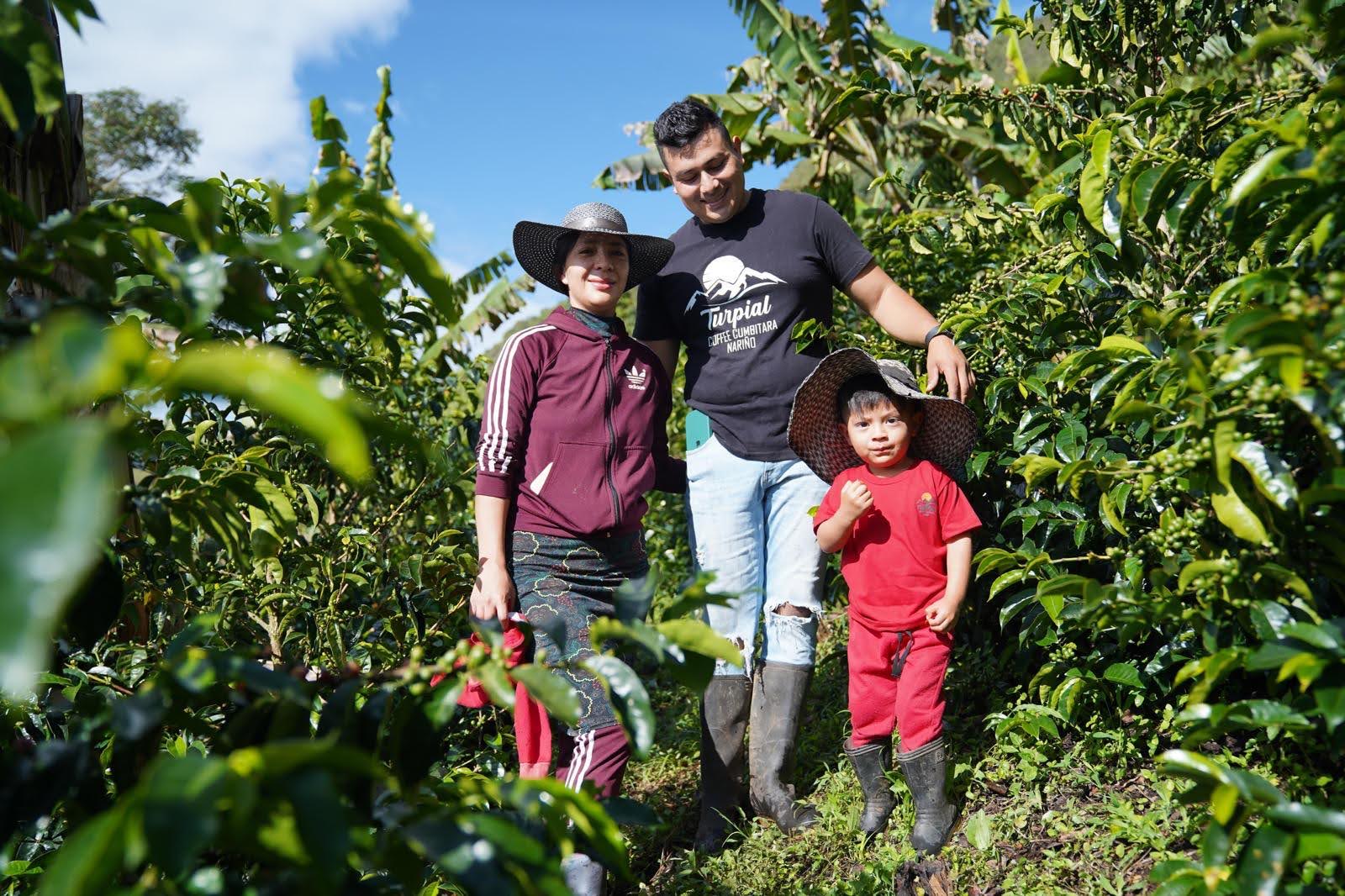 COL003 — Finca El Turpial; SL-28 Honey