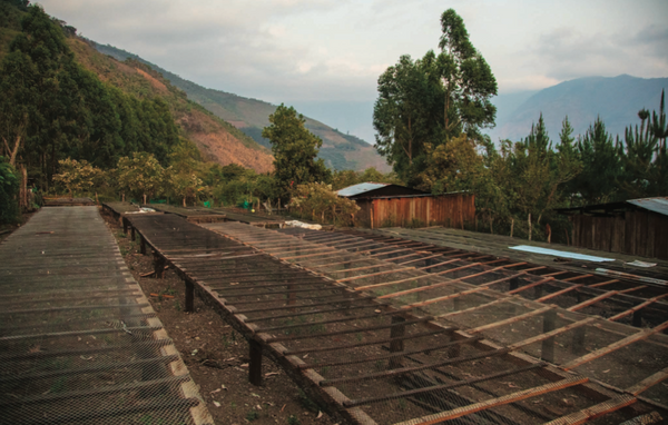 PERU