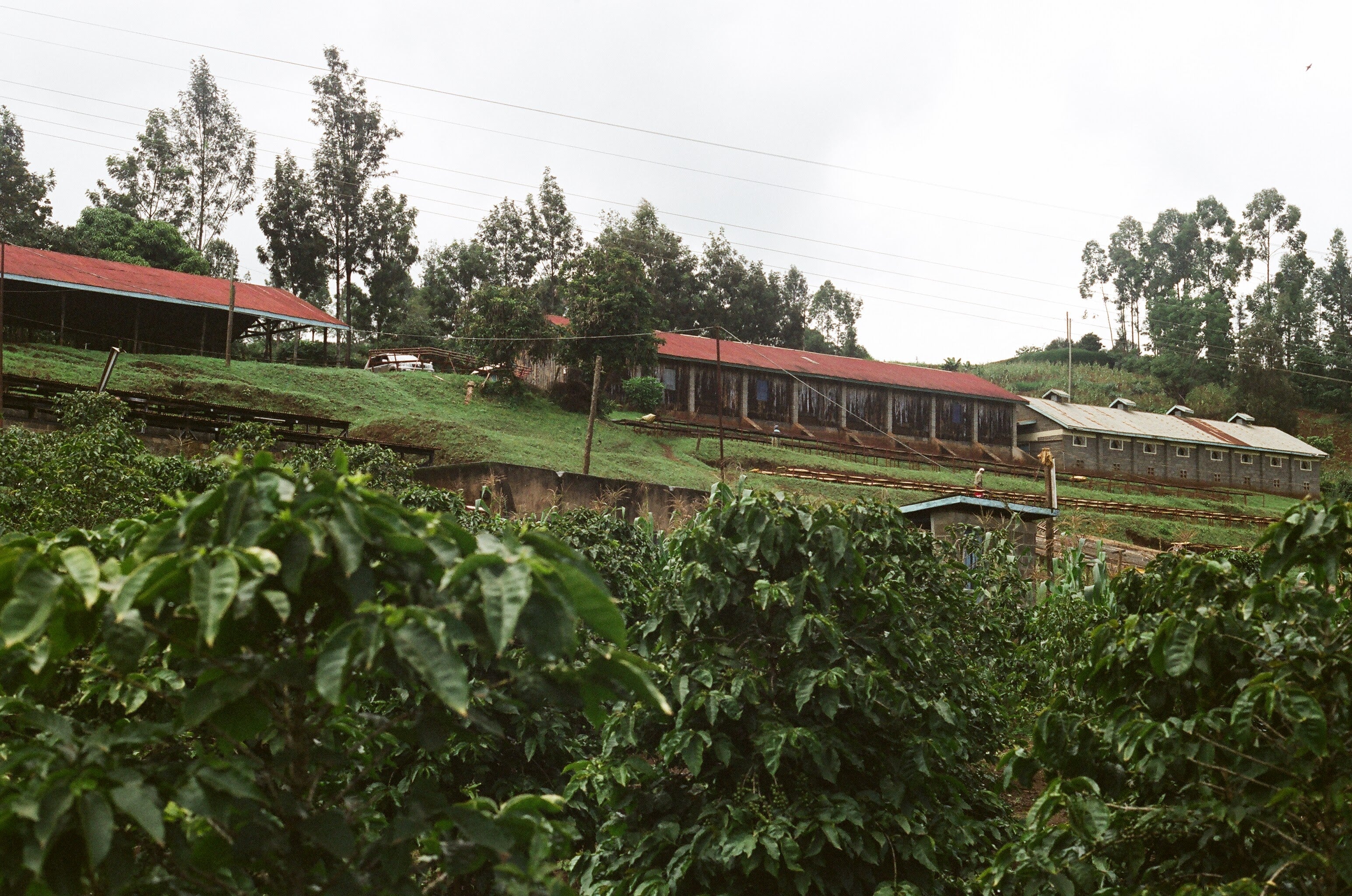 KEN-001 | AB Inoi Ndimi