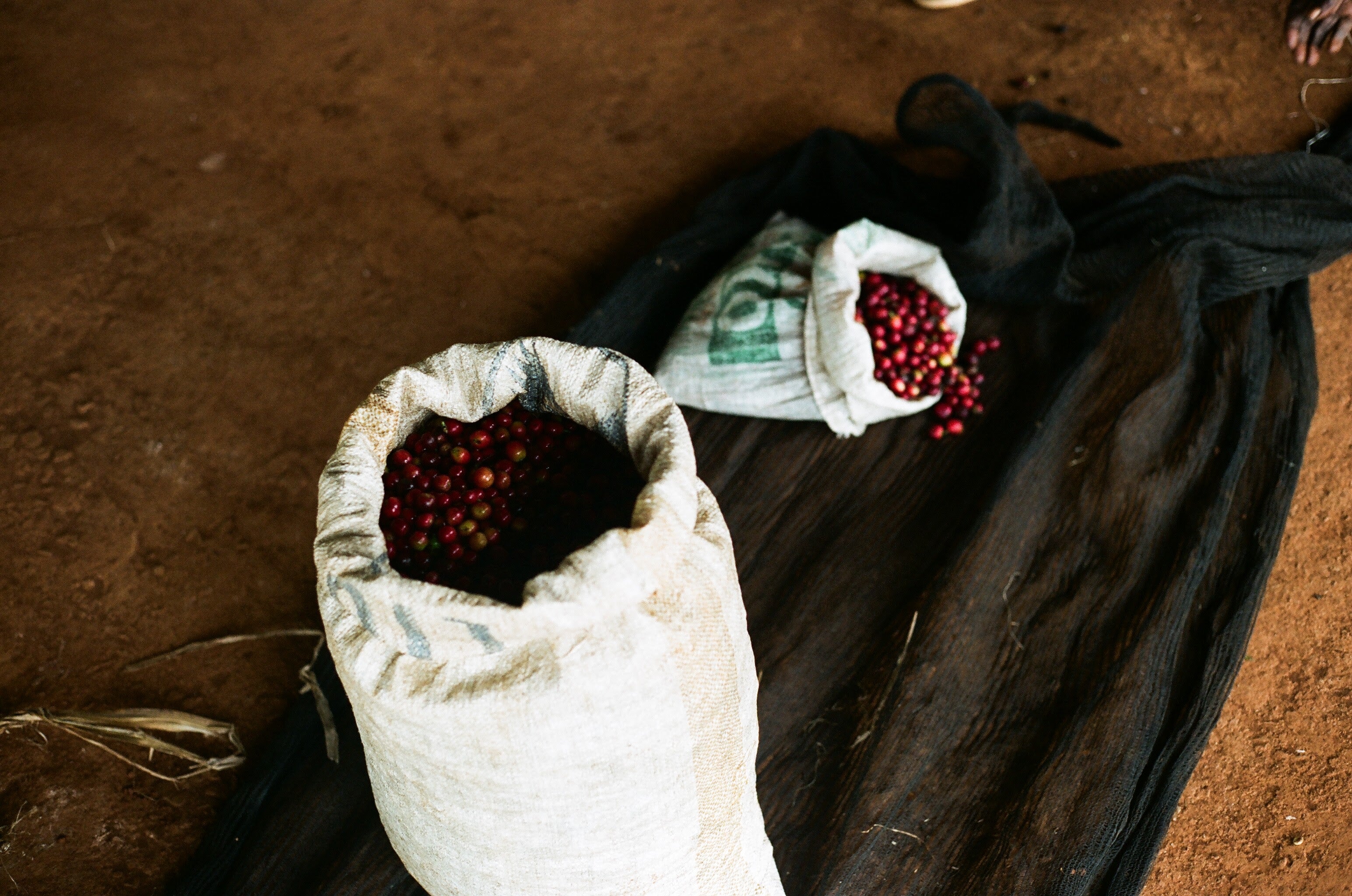 KEN-001 | AB Inoi Ndimi