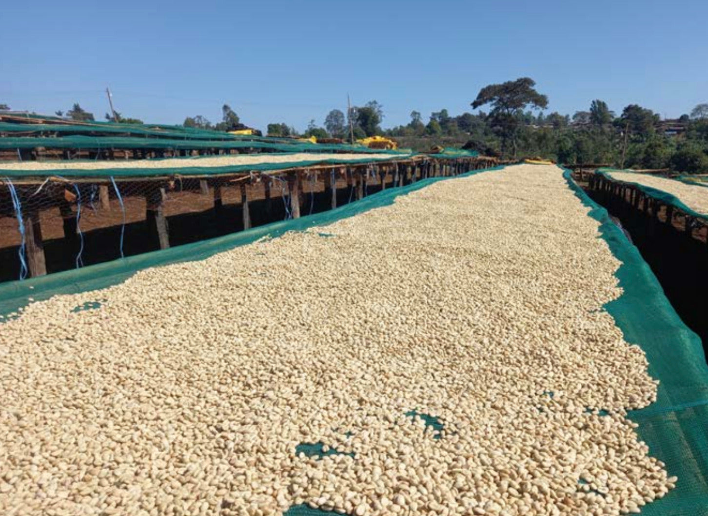 ETH-004 | Bildimoo Chelchele