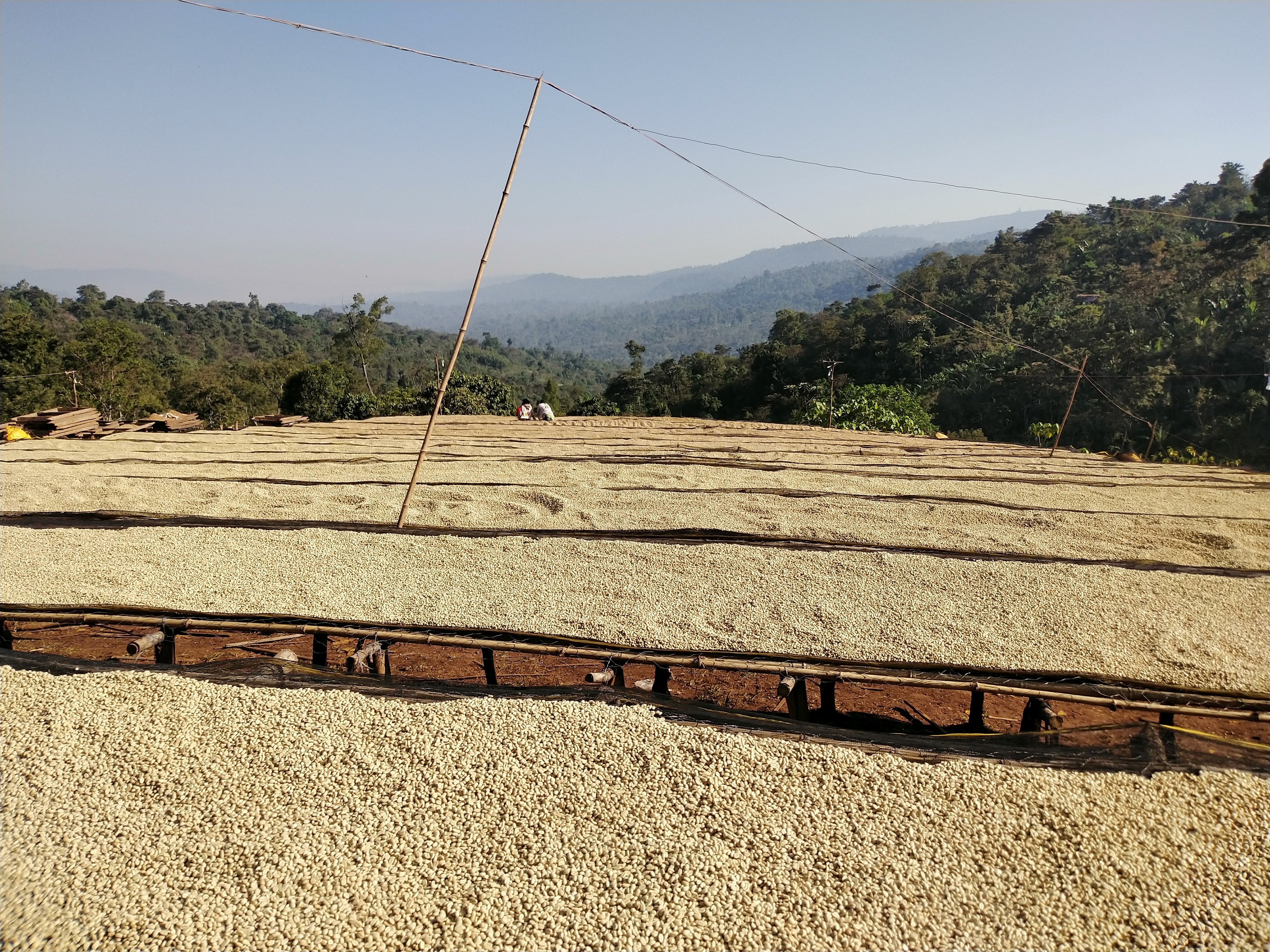 ETH-005 | Kelloo Wete Konga