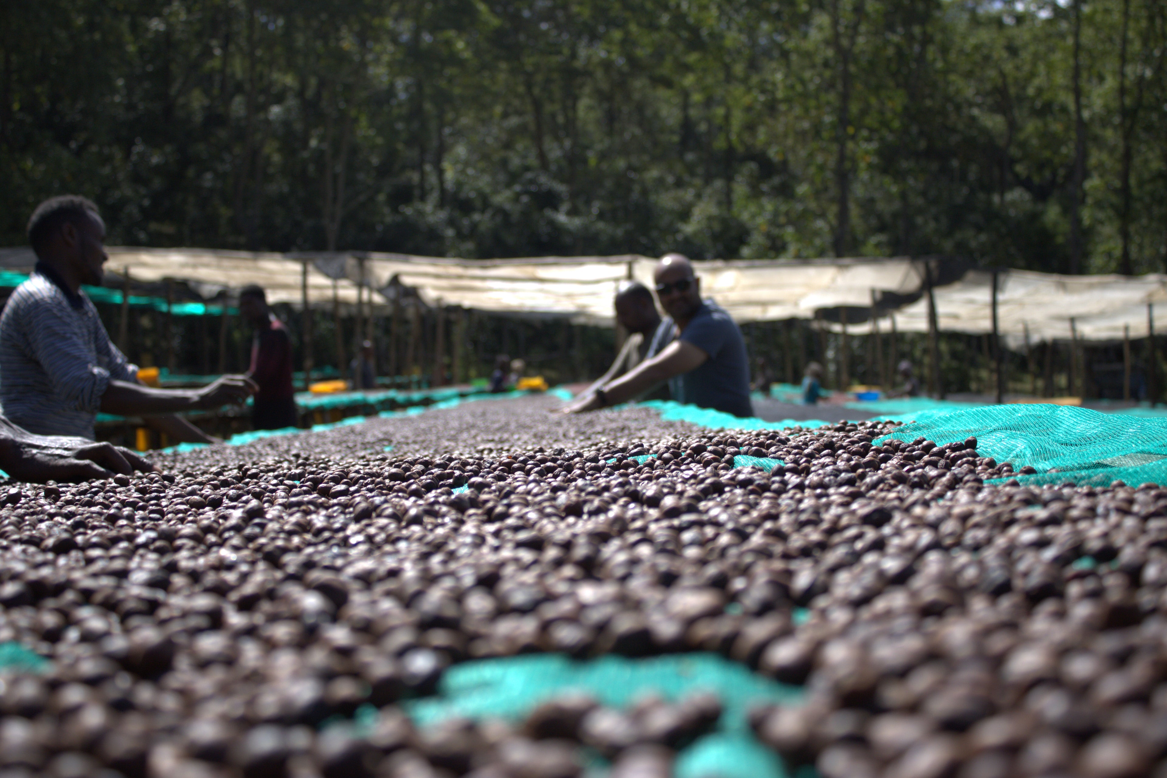 ETH-007 | Burtukaana Goro Bedesa