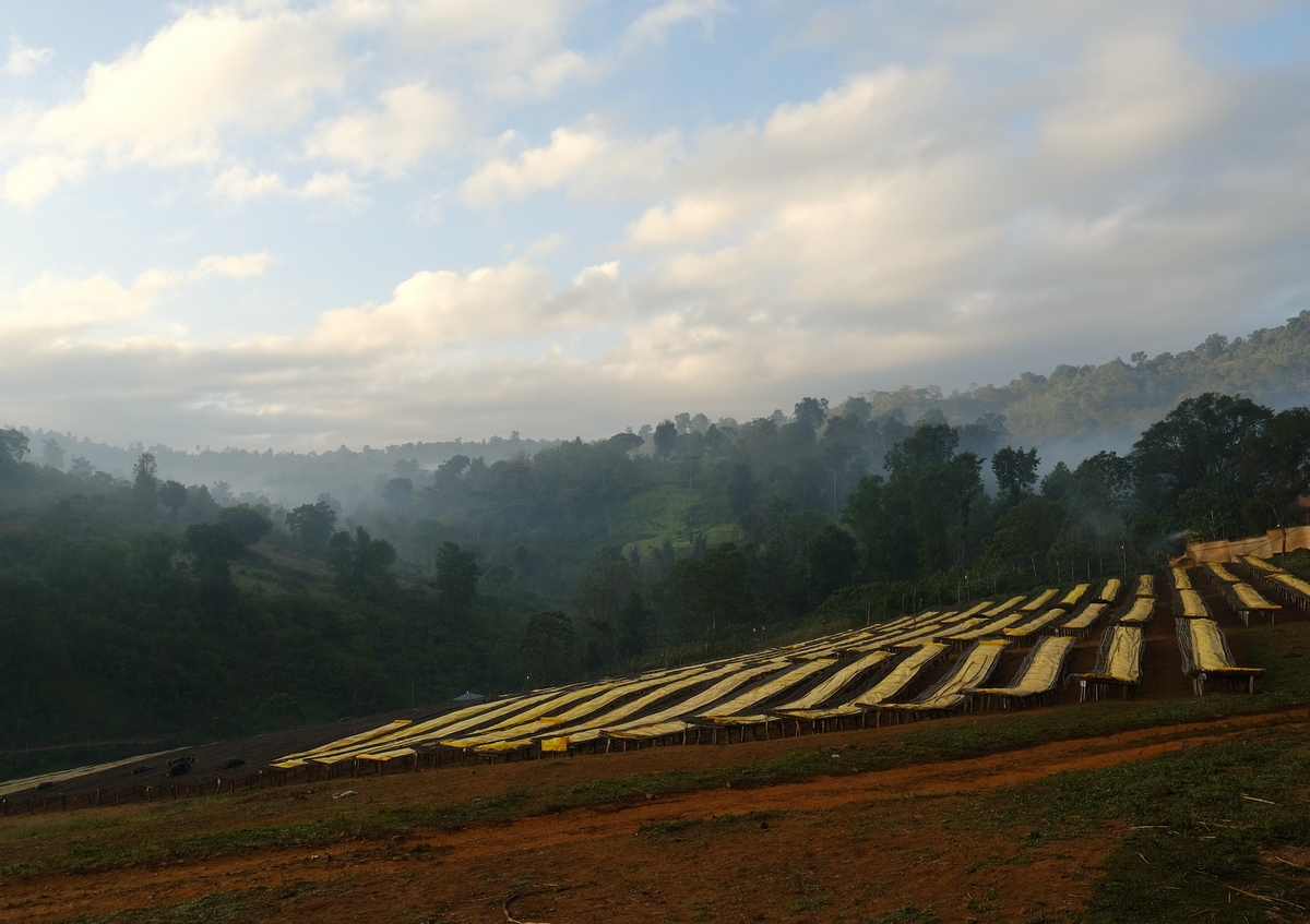 ETH-011 | Hambela