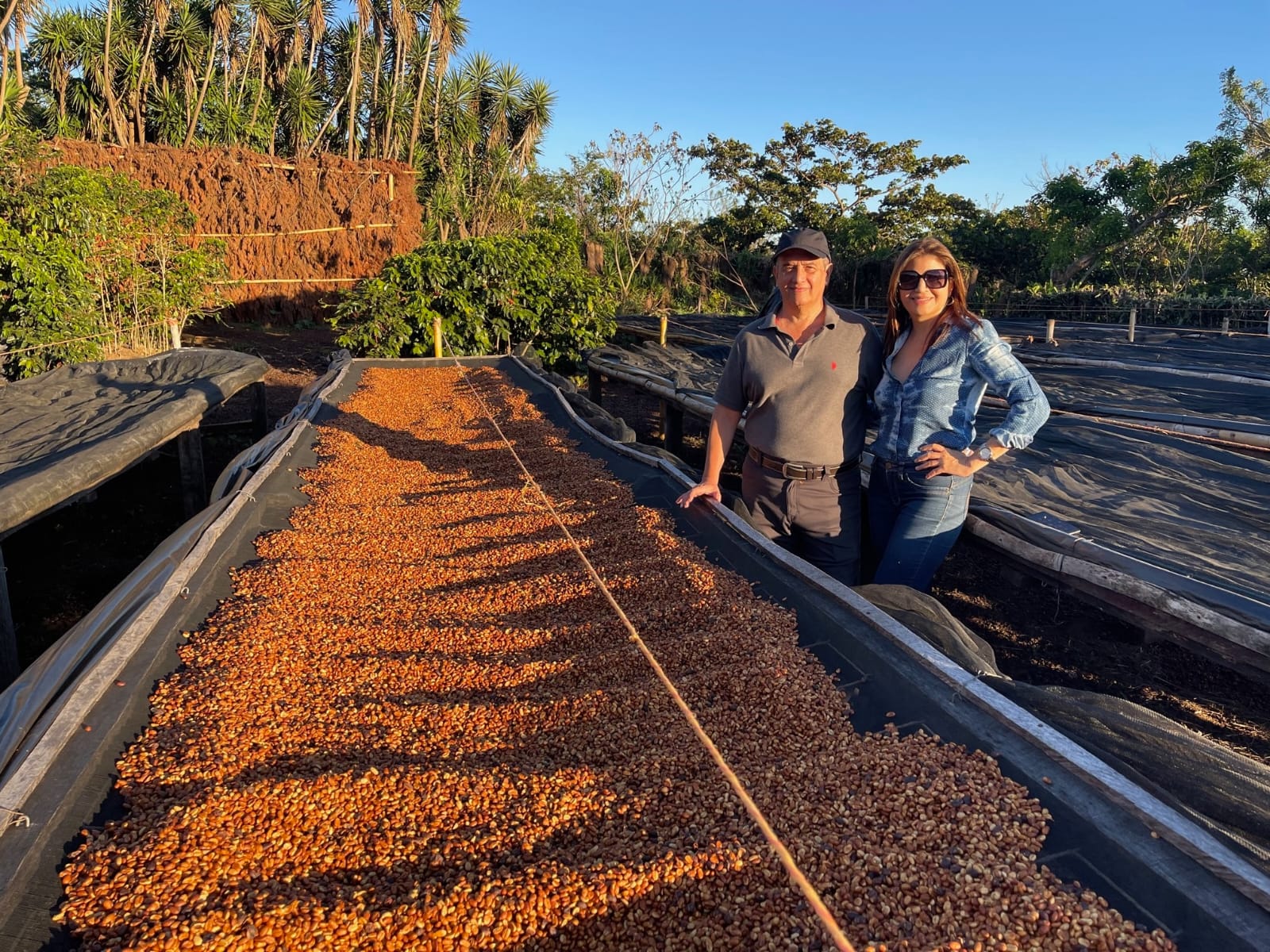 SAL-003| Finca Las Brisas Carlos Pola Pacas Honey