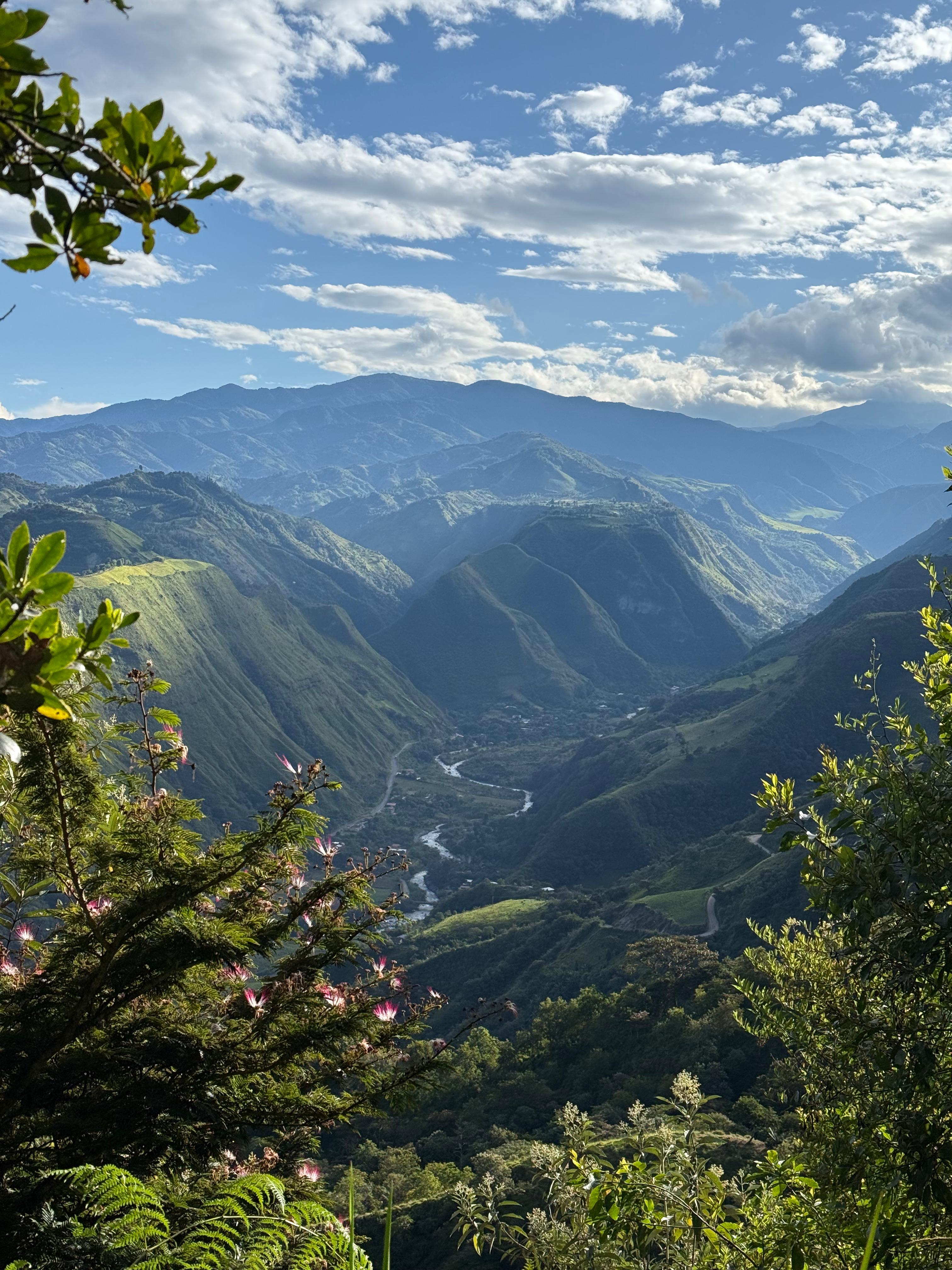 ECU-001 | La Soledad - Pepe Jijon