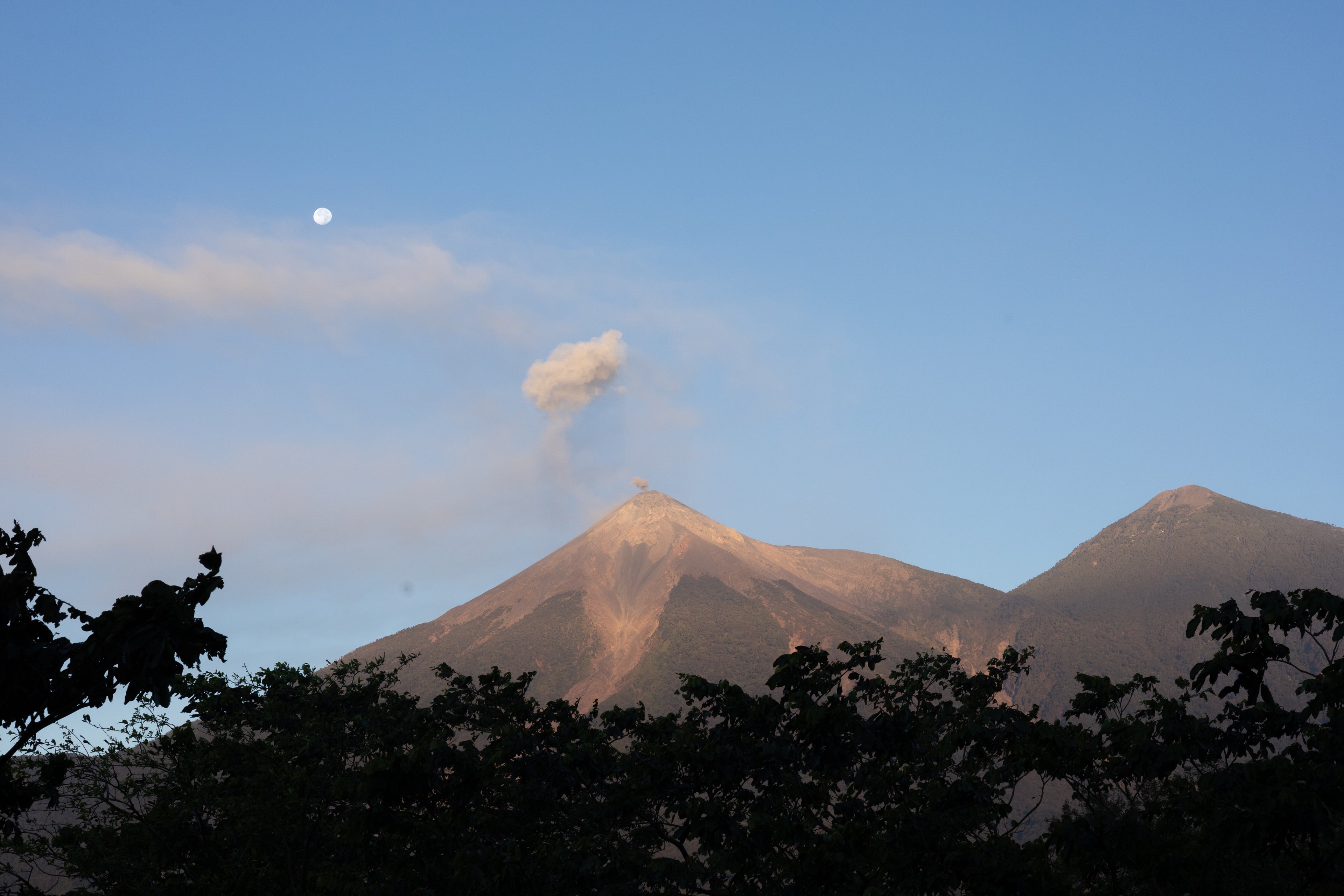 GUA-001 | Finca El Potrero Paraiso