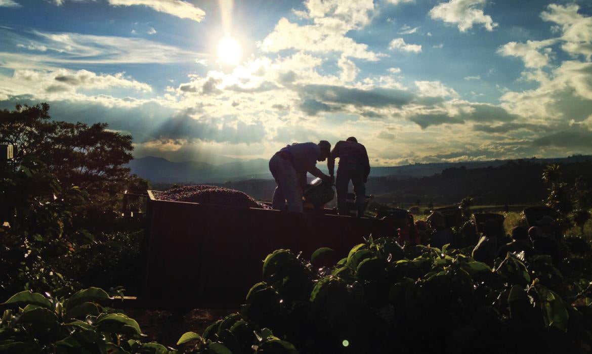 DK-001 | Volcan Azul