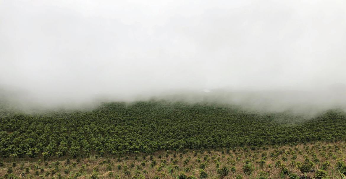 DK-001 | Volcan Azul