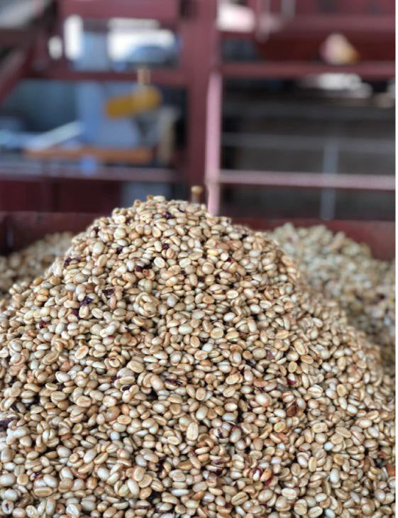 DK-001 | Volcan Azul