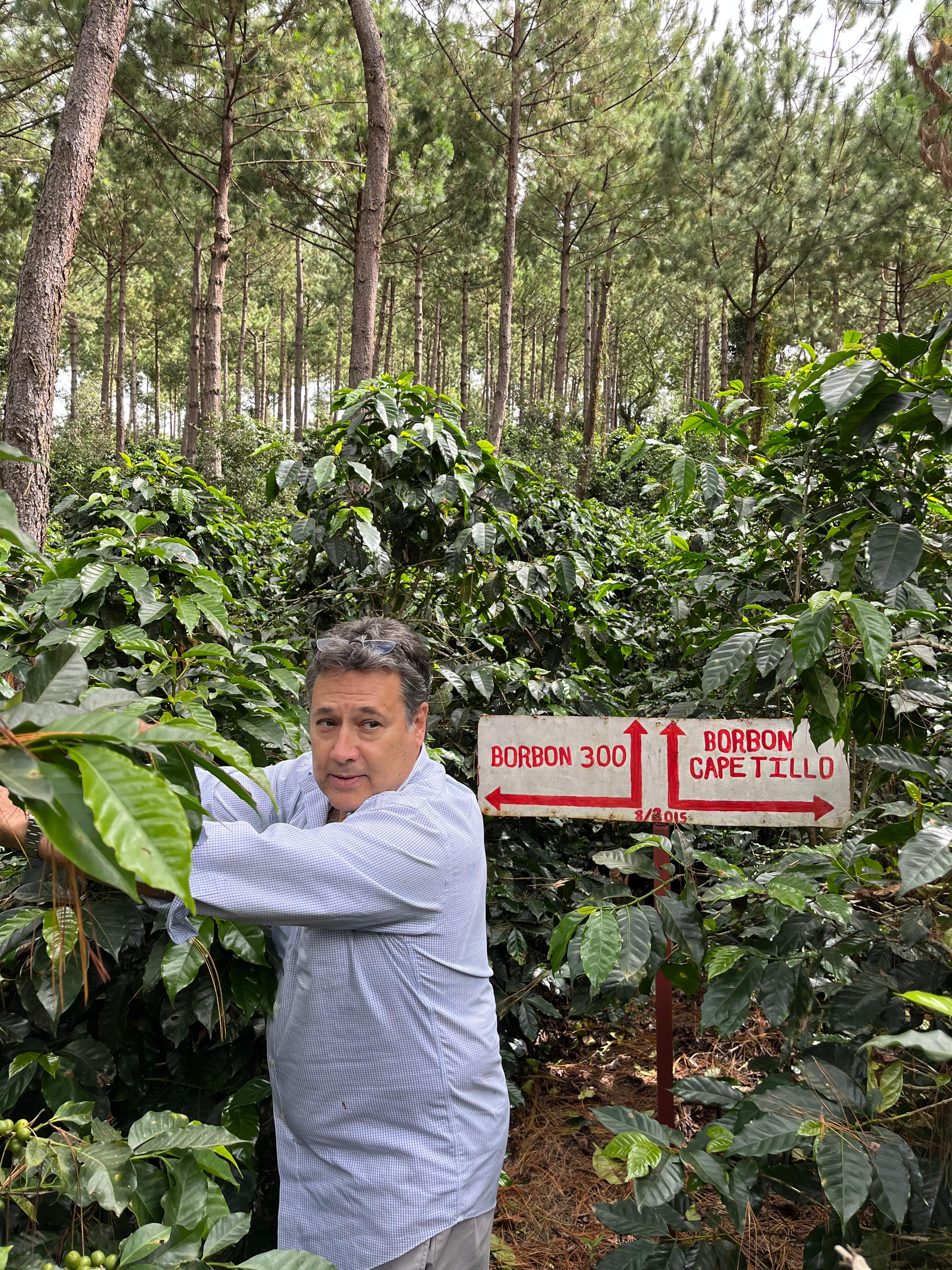 GUA-003 | Finca San Jose Ocana SL28