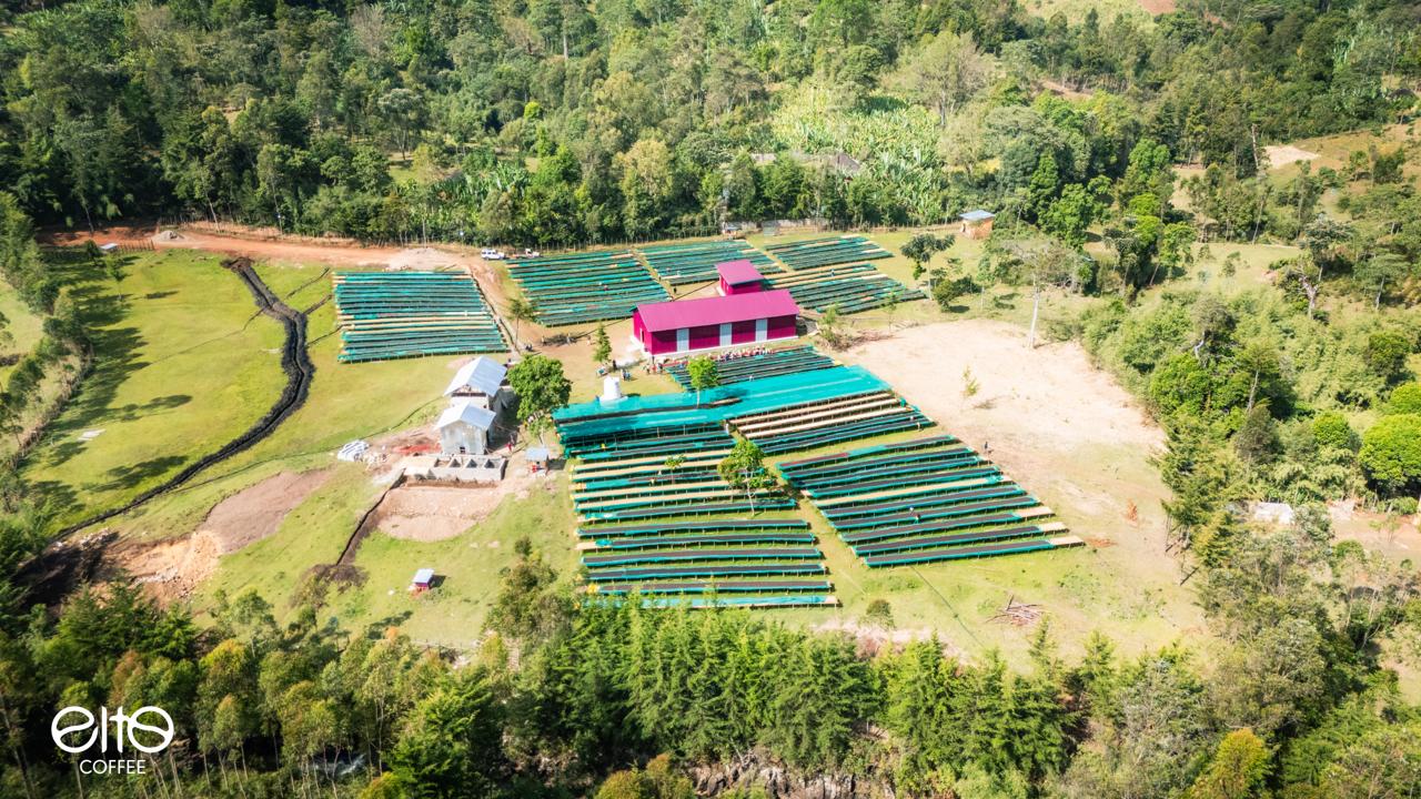 ETH-006 | Elto Elora