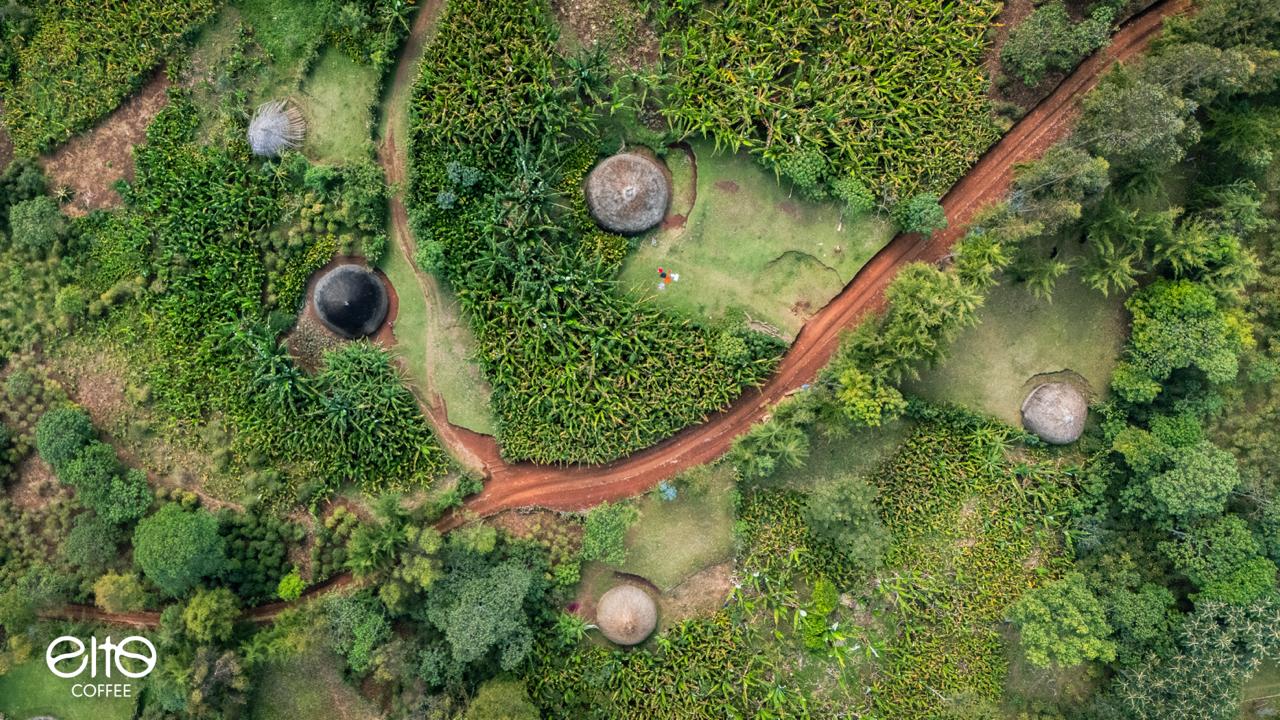 ETH-006 | Elto Elora