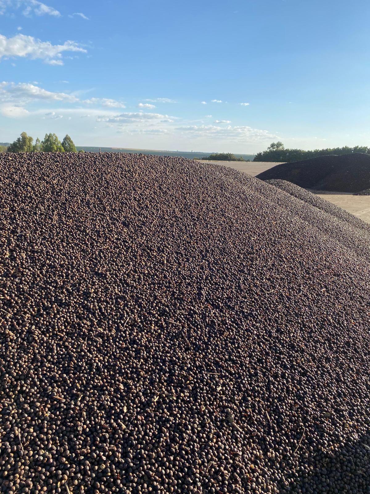 BRA-001 | Rio Brilhante Frutado