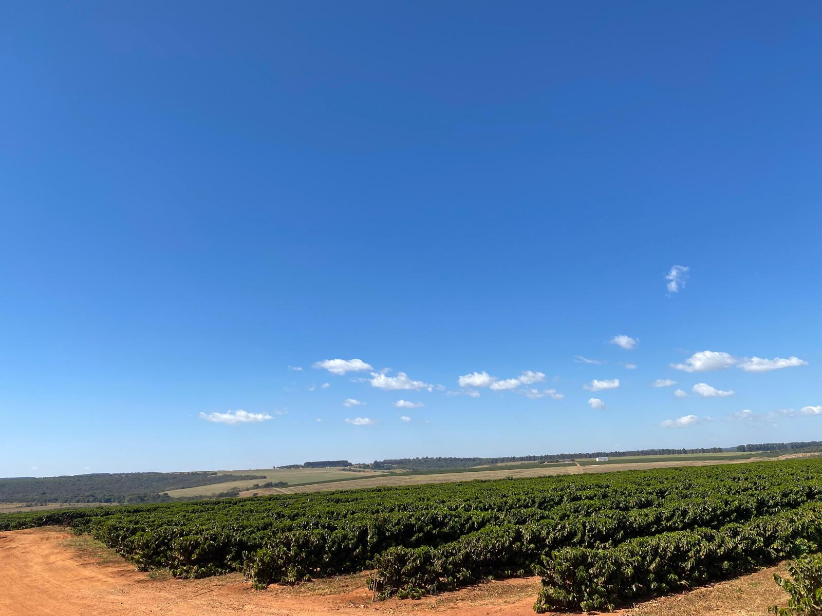 BRA-001 | Rio Brilhante Frutado