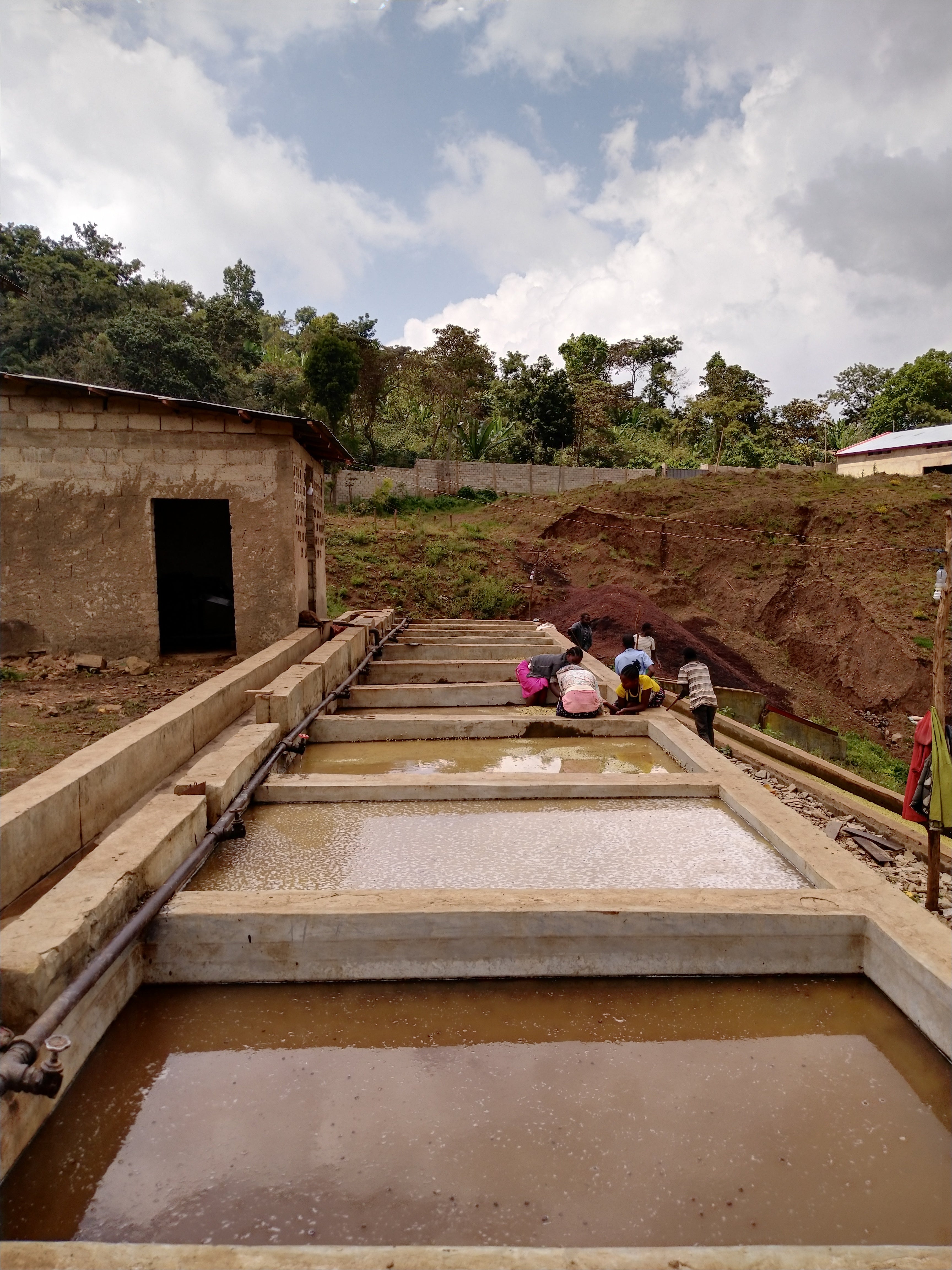 ETH-005 | Kelloo Wete Konga